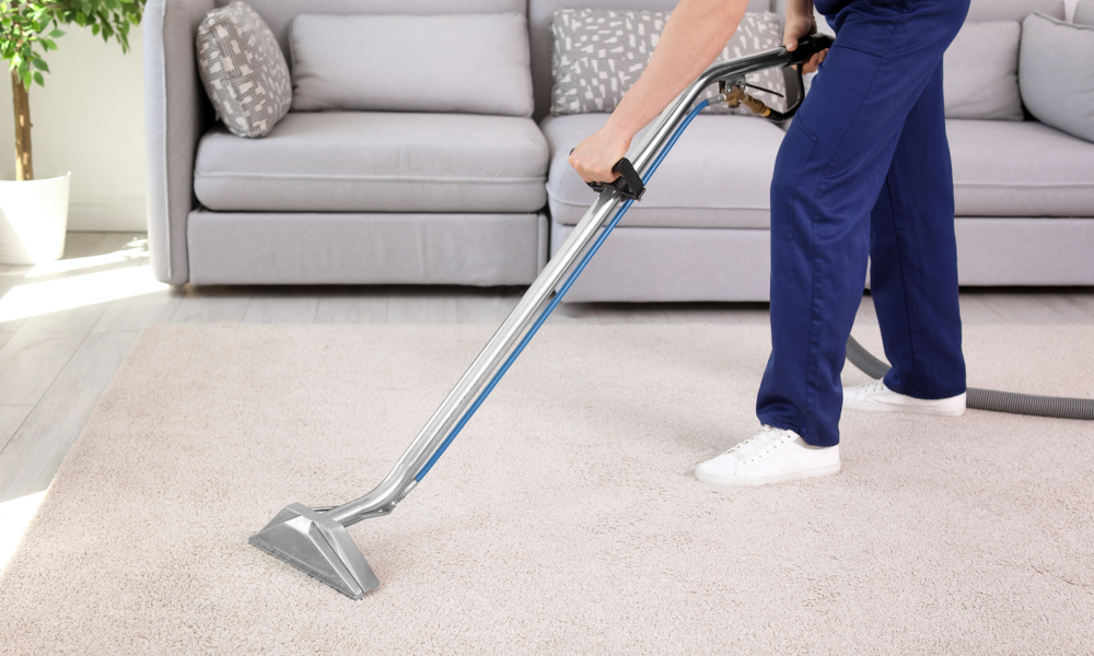 Elevate Your Home: Professional Carpet Cleaning for Superior Results