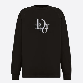 Dior Hoodie A Fashion Staple