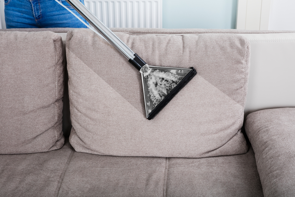 How to Get Smells Out of Your Couch in Alexandria: 5 Methods That Really Work