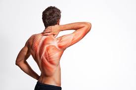 Understanding Muscle Pain Relief: Somadril 350mg and Somaboost 750mg Explained