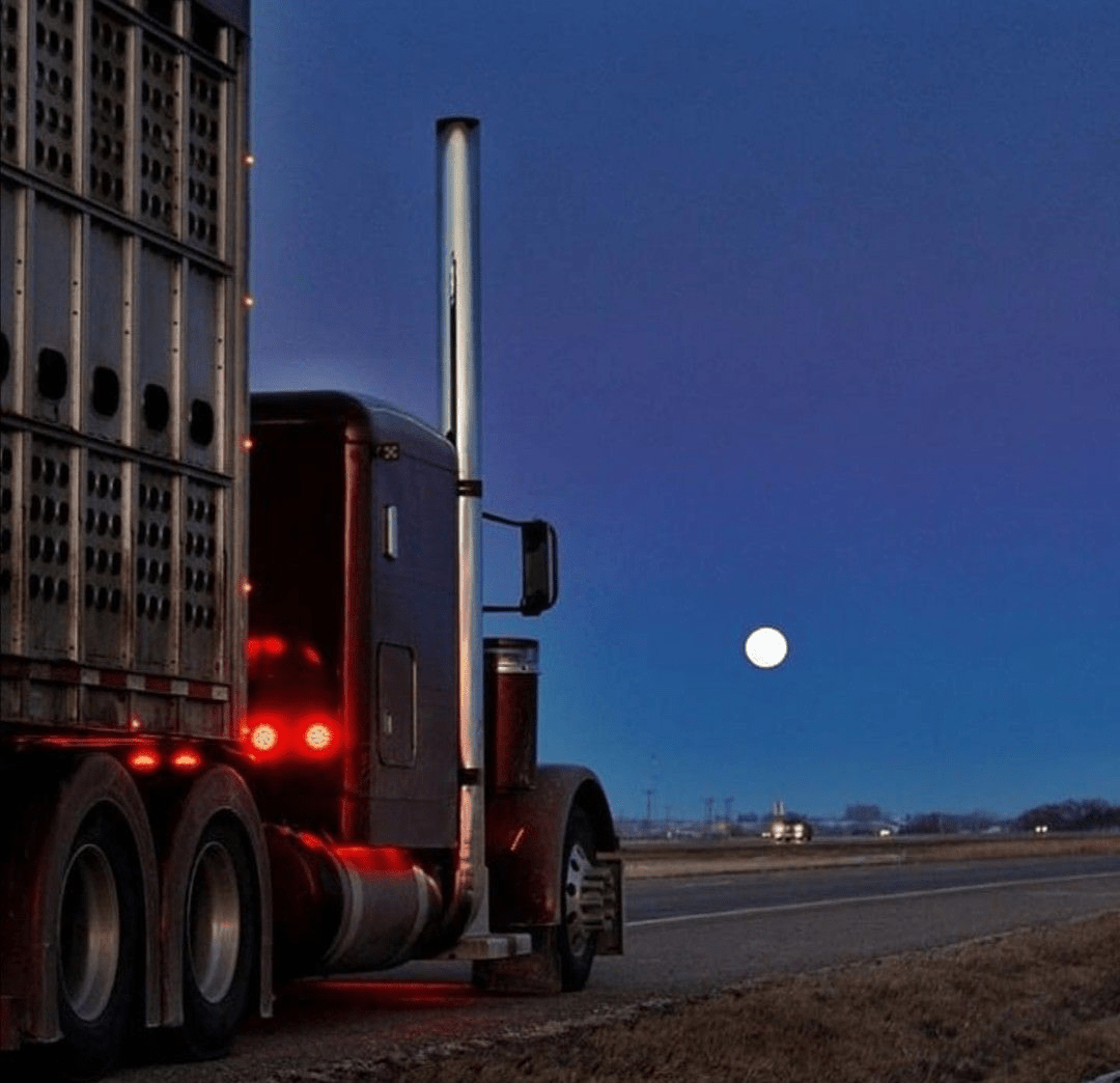 How To Choose The Best CDL Truck Driving School