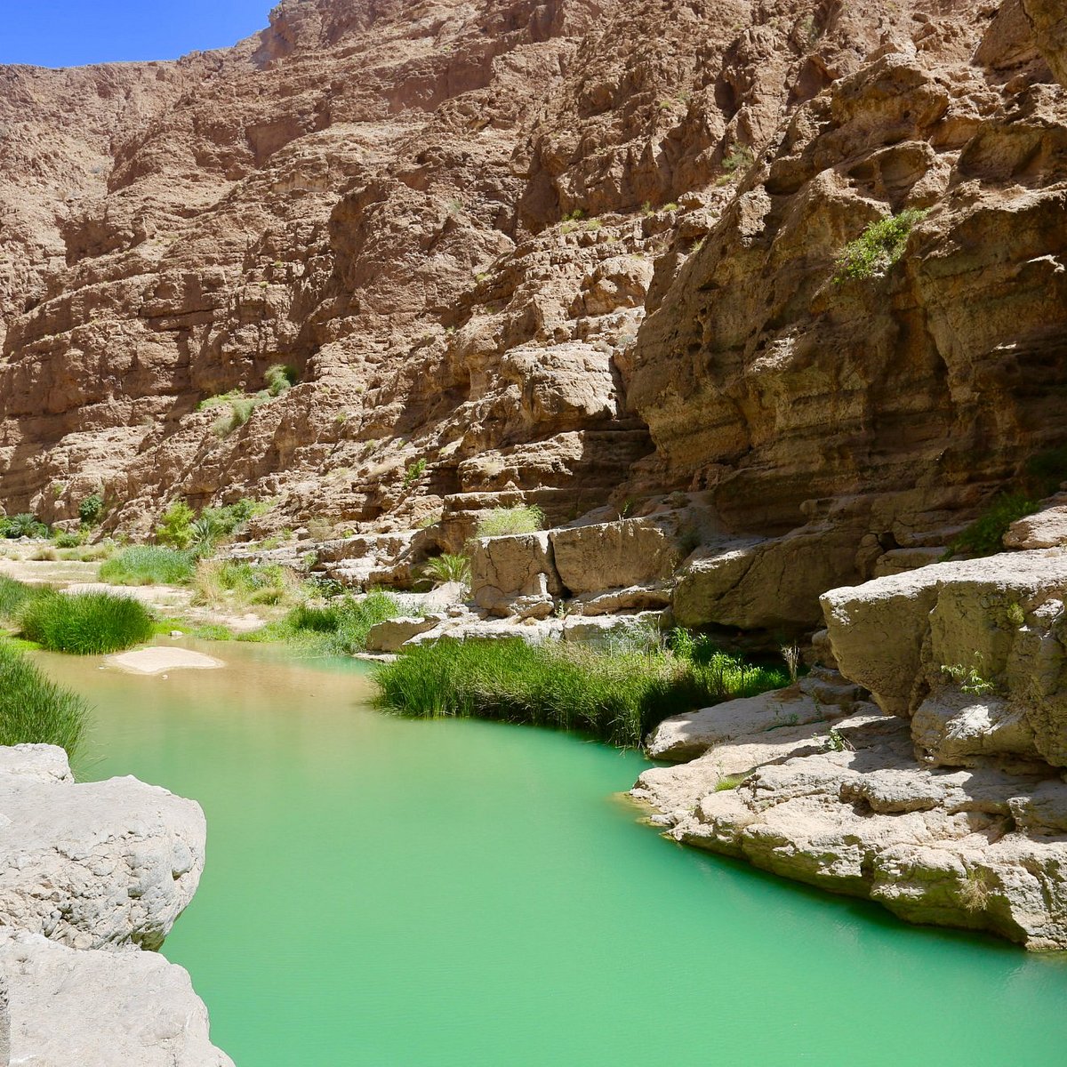 Discovering the Hidden Gem: Exploring the Enchanting Oasis of Wadi Shab