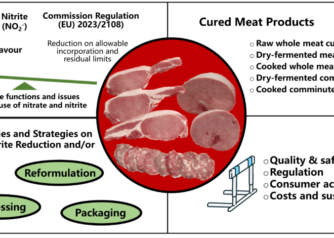 Balancing Hygiene and Sustainability. Eco-Friendly Sanitising Tunnels for the Irish Meat Industry