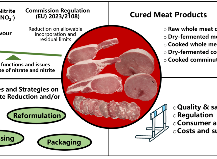 Balancing Hygiene and Sustainability. Eco-Friendly Sanitising Tunnels for the Irish Meat Industry